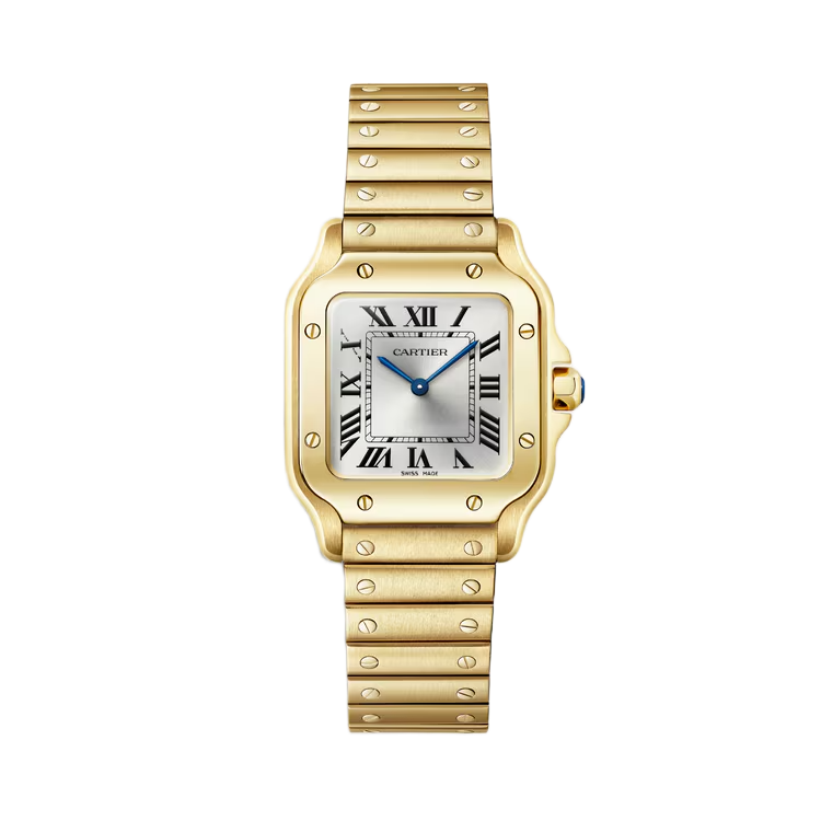 Santos de Cartier watch